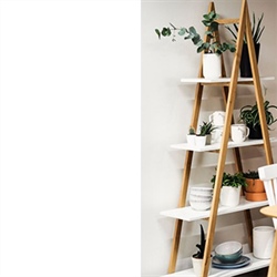 ایده هایی برای گل آرایی آپارتمان در جهت زیباسازی دکوراسیون داخلی